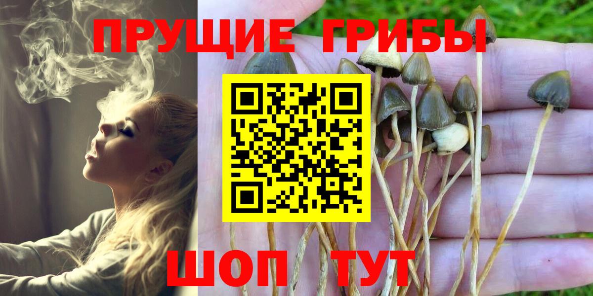 Галлюциногенные грибы Magic Shrooms  Псилоцибиновые грибы ЛСД  как найти закладки  Куйбышев  Вход с VPN 