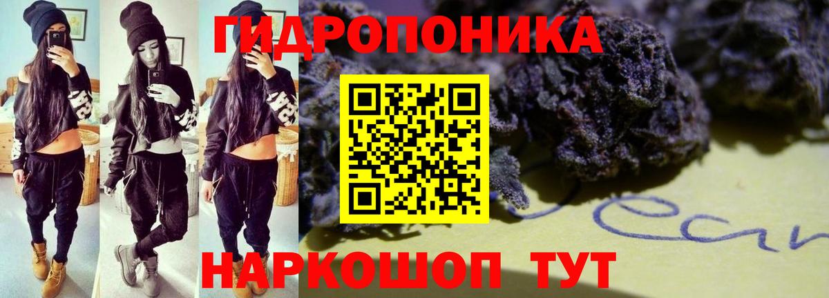 Шишки марихуана Bruce Banner Куйбышев